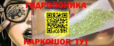 стаф Заводоуковск