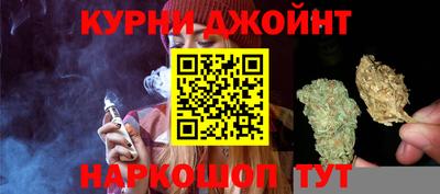 стаф Жуковский